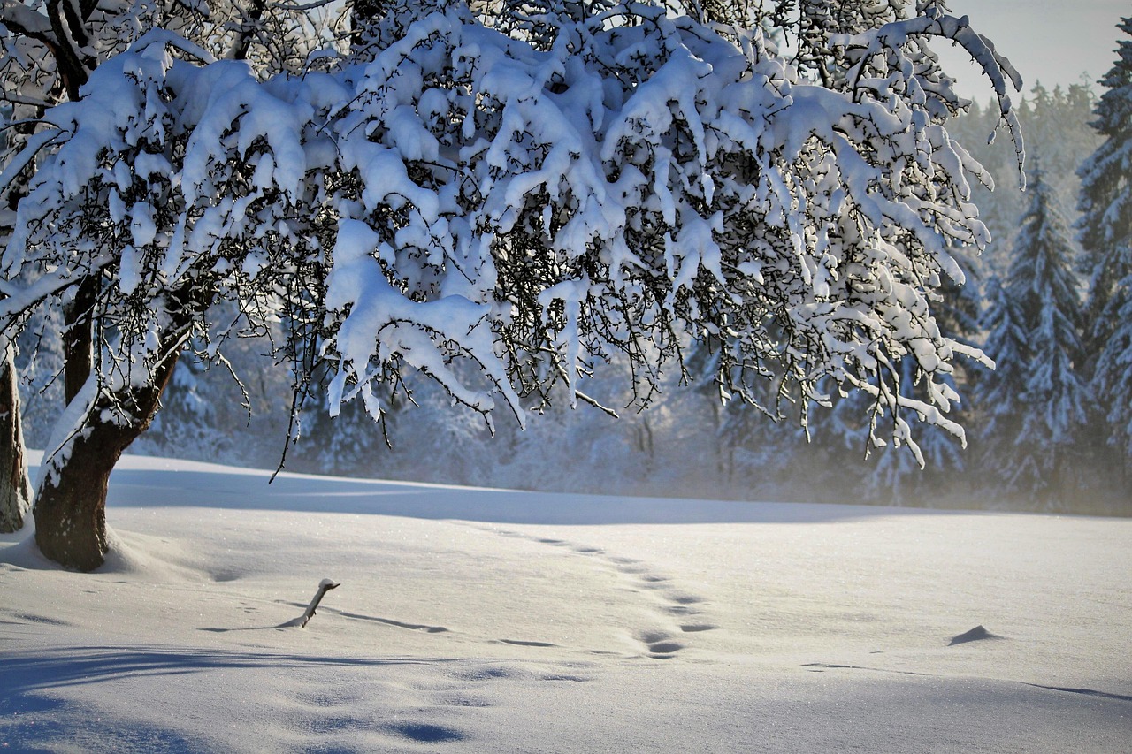 Winter 2025/2026